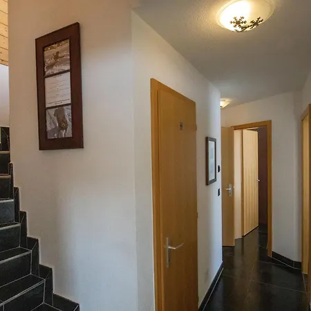 Lauchernalp Resort Residences * Wiler